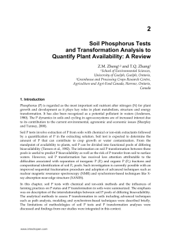 Soil Phosphorus Tests and Transformation Analysis to