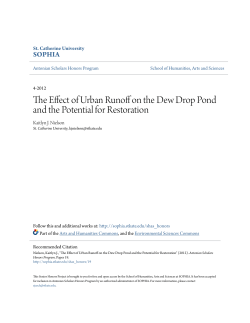 The Effect of Urban Runoff on the Dew Drop Pond and the