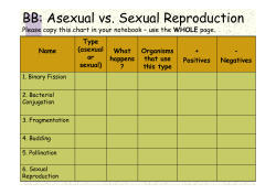 BB: Asexual vs. Sexual Reproduction