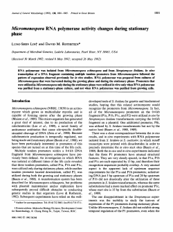 Micromonospora RNA polymerase activity changes