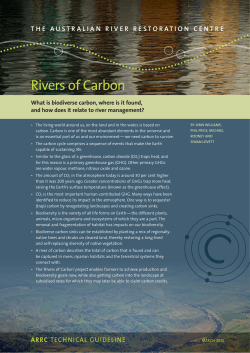 2542 draft_2 - Rivers of Carbon