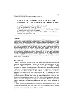kinetics and differentiation of marrow stromal cells in diffusion
