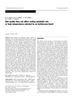 Diet quality does not affect resting metabolic rate or