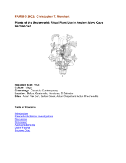 Plants of the Underworld: Ritual Plant Use in Ancient Maya