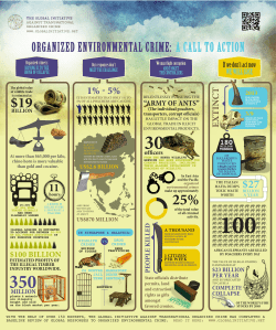 Environmental Crime Infographic (June 2014)