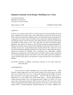 Elephant Economics in the Rough: Modelling
