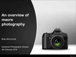 Brian McCormack Macro Photography Presentation