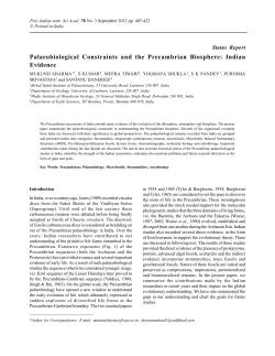 Palaeobiological Constraints and the Precambrian Biosphere