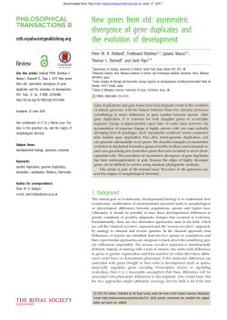New genes from old: asymmetric divergence of gene duplicates and