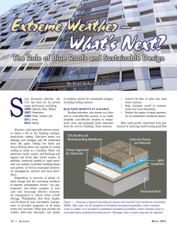 Extreme Wether--What`s Next? The Role of Blue Roofs