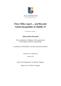 Three Miles Apart and Beyond: School Inequalities in Dublin 15