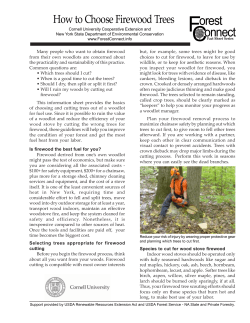 How to Choose Firewood Trees - University of Illinois Extension