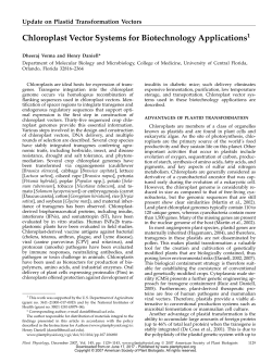 Chloroplast Vector Systems for Biotechnology