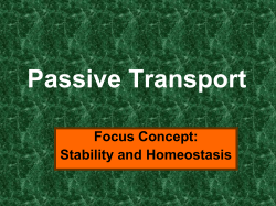 Passive Transport - Vision Charter School