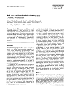 Tail size and female choice in the guppy (<Emphasis Type="Italic