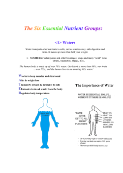 The Six Essential Nutrient Groups:  Water