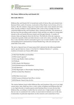 site synopsis