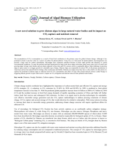 A new novel solution to grow diatom algae in large natural water