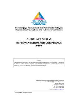 GUIDELINES ON IPv6 IMPLEMENTATION AND