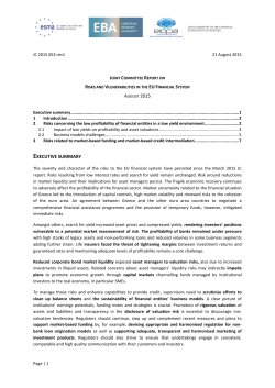 Joint Committee Report on Risks and