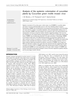 Analysis of the systemic colonization of cucumber plants by