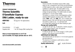 O`GeneRuler Express DNA Ladder, ready-to
