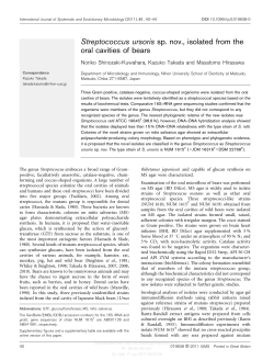 Streptococcus ursoris sp. nov., isolated from the oral cavities of bears