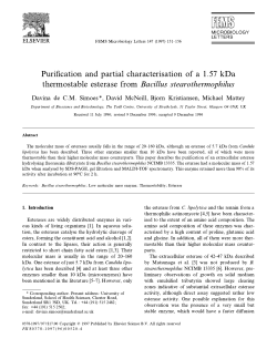 Purification and partial characterisation of a 1.57 kDa thermostable