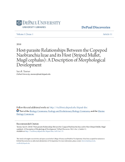Host-parasite Relationships Between the Copepod Naobranchia
