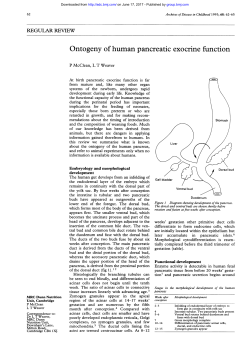 Ontogeny of human pancreatic exocrine function
