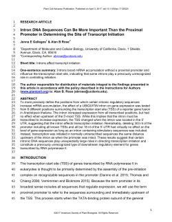 Intron DNA Sequences Can Be More Important