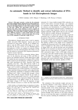 An Automatic Method to Identify and Extract Information of DNA