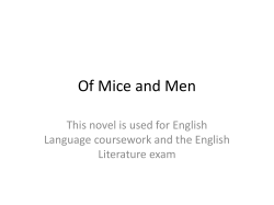 OMAM class revision guide