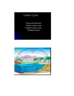Carbon Cycle