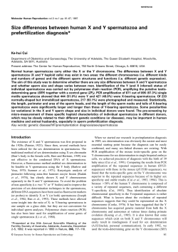 Size differences between human X and Y spermatozoa and