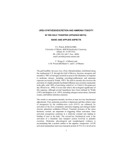 1 UREA SYNTHESIS/EXCRETION AND AMMONIA TOXICITY IN