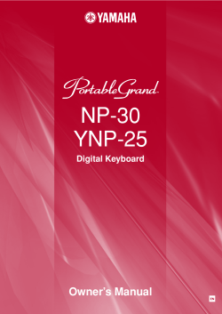 NP-30/YNP-25 Owner`s Manual