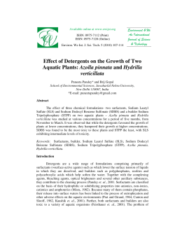 Effect of Detergents on the Growth of Two Aquatic Plants: Azolla