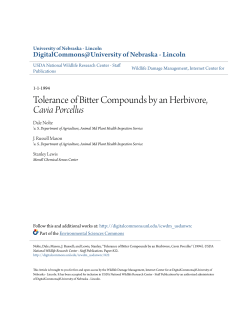 Tolerance of Bitter Compounds by an Herbivore, Cavia Porcellus
