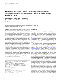 Production of Calcium Oxalate Crystals by the Basidiomycete