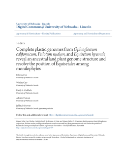 Complete plastid genomes from Ophioglossum californicum