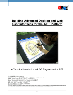 ILOG Diagrammer for .NET White Paper