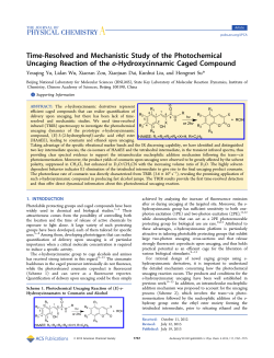 Time-Resolved and Mechanistic Study of the Photochemical