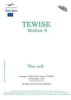 tewise - schule.at