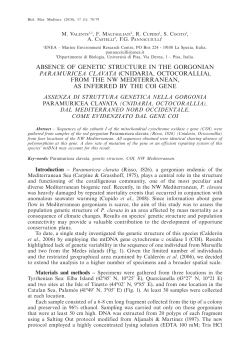 absence of genetic structure in the gorgonian paramuricea
