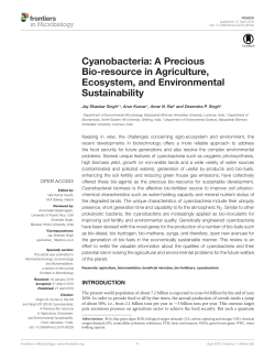 Cyanobacteria: A Precious Bio-resource in Agriculture, Ecosystem