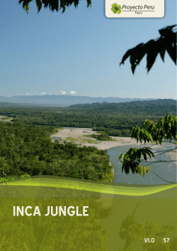 inca jungle - Proyecto Peru
