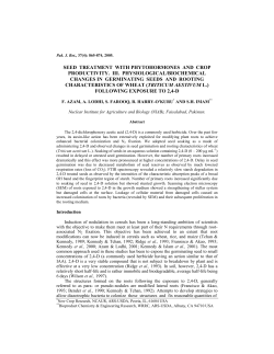 as a PDF