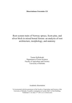 Root system traits of Norway spruce, Scots pine