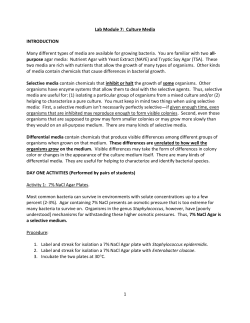 Module 7 - Culture Media